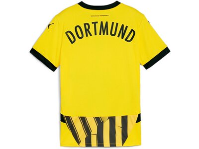 PUMA Kinder Fantrikot BVB Cup Jersey Replica Jr Grau
