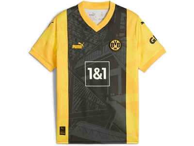 PUMA Kinder Fantrikot BVB Special Edition Jersey Grau