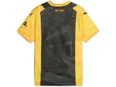 PUMA Kinder Fantrikot BVB Special Edition Jersey Grau