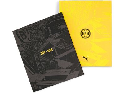 PUMA Kinder Fantrikot BVB Special Edition Jersey Grau