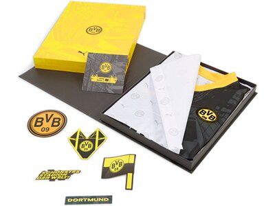PUMA Kinder Fantrikot BVB Special Edition Jersey Grau