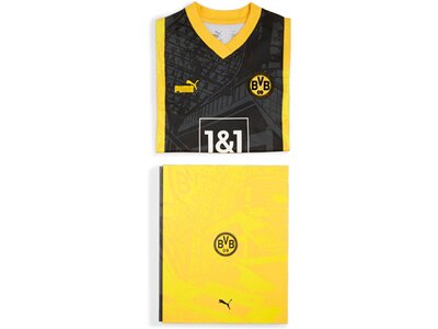 PUMA Kinder Fantrikot BVB Special Edition Jersey Grau