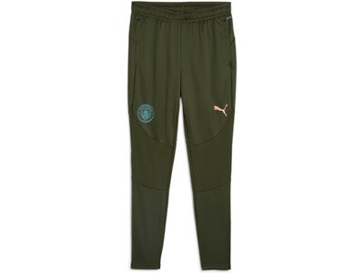 PUMA Herren Fanhose MCFC Training Pants Grau