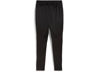 PUMA Herren Fanhose BVB Training Pants Schwarz