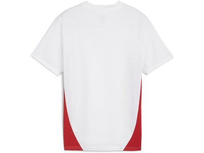 PUMA Kinder Shirt RBL Training Jersey Jr Weiß