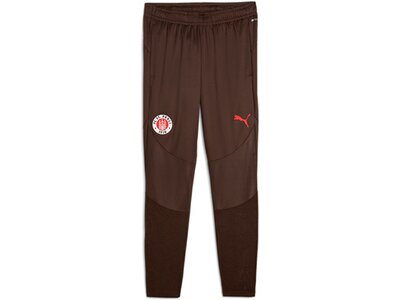 PUMA Herren Fanhose FCSP Training Pants Grau