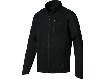 PUMA Herren Sweatjacke Evostripe Move Jacket Schwarz
