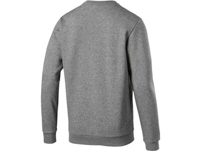 PUMA Lifestyle - Textilien - Sweatshirts Essential Crew Big Logo Sweatshirt Grau