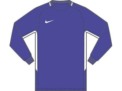 NIKE Fußball - Teamsport Textil - Torwarttrikots Park III Goalie Torwarttrikot Kids Blau