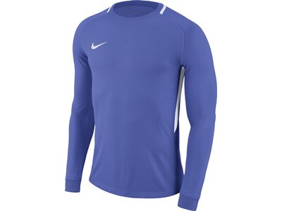 NIKE Fußball - Teamsport Textil - Torwarttrikots Park III Goalie Torwarttrikot Kids Blau