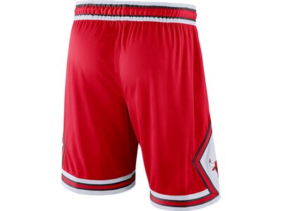 NIKE Herren Shorts NBA Swingman Rot