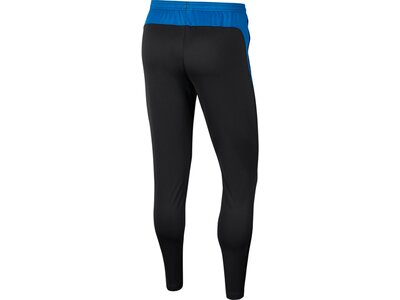 NIKE Herren Hose "Dri-FIT Academy Pro" Grau