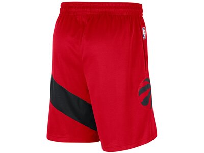 NIKE Herren Fanhose Toronto Raptors Icon Edition 2020 NBA Rot