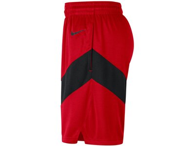 NIKE Herren Fanhose Toronto Raptors Icon Edition 2020 NBA Rot