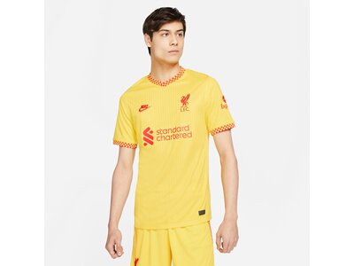 NIKE Herren Fantrikot LFC MNK DF STAD JSY SS 3R Gelb