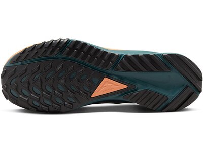 NIKE Damen Laufschuhe W REACT PEGASUS TRAIL 4 GTX Grau
