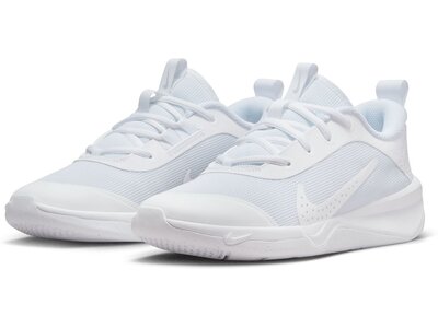 NIKE Kinder Freizeitschuhe OMNI MULTI-COURT (GS) Grau