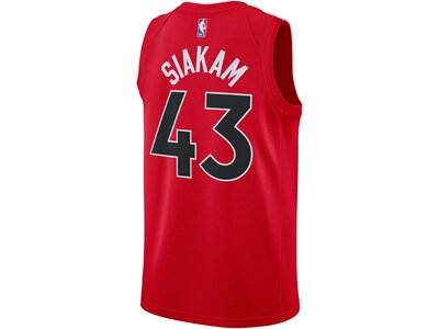 NIKE Herren Fantrikot Toronto Raptors Icon Edition 2022/23 Dri-FIT NBA Rot