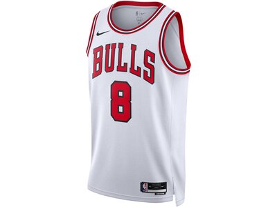 NIKE Herren Fantrikot CHI MNK DF SWGMN JSY ASC 22 Grau