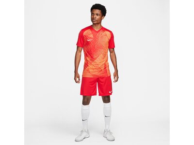 NIKE Herren Trikot M NK DF PRCSN VI JSY SS Braun