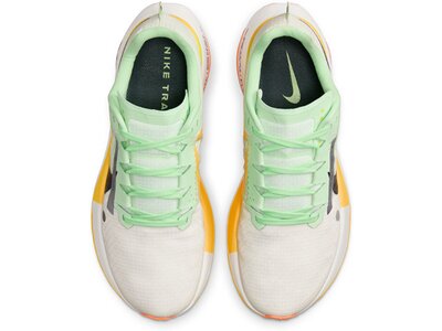 NIKE Herren Laufschuhe ZOOMX ULTRAFLY TRAIL Grau