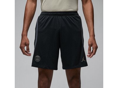 NIKE Herren Fanhose PSG M NK DF STRK SHORT KZ 3R Schwarz