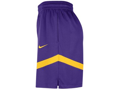 NIKE Herren Fanhose LAL MNK DF PRAC ICON+ 8IN Lila