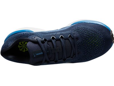 NIKE Herren Laufschuhe Winflo 11 Blau