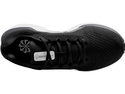 NIKE Damen Laufschuhe Winflo 11 Schwarz