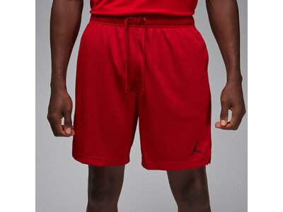 NIKE Herren Shorts Jordan Dri-FIT Sport Rot
