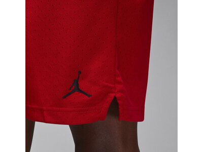 NIKE Herren Shorts Jordan Dri-FIT Sport Rot