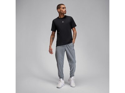 NIKE Herren Sporthose Jordan Dri-FIT Sport Silber