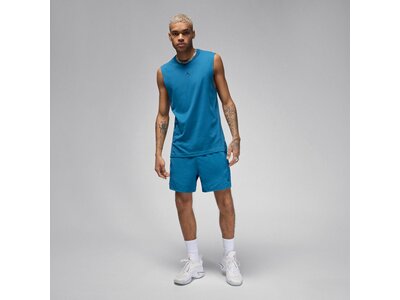 NIKE Herren Shorts Jordan Dri-FIT Sport Blau