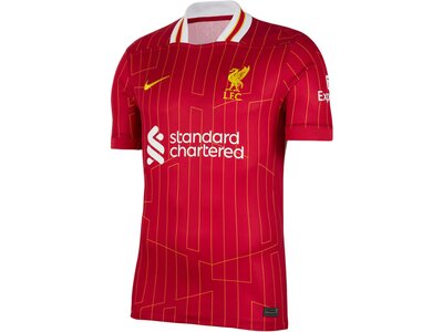 NIKE Herren Trikot Liverpool FC 2024/25 Stadium Home Dri-FIT Rot