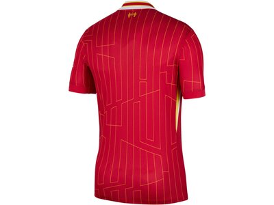 NIKE Herren Trikot Liverpool FC 2024/25 Stadium Home Dri-FIT Rot