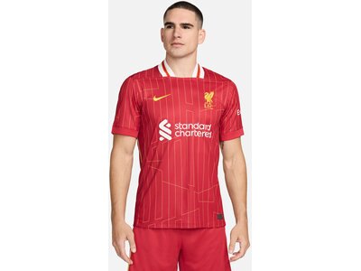 NIKE Herren Trikot Liverpool FC 2024/25 Stadium Home Dri-FIT Rot