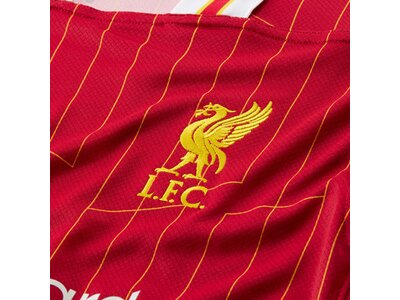 NIKE Herren Trikot Liverpool FC 2024/25 Stadium Home Dri-FIT Rot