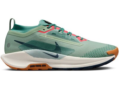 NIKE Herren Laufschuhe PEGASUS TRAIL 5 GTX Grün