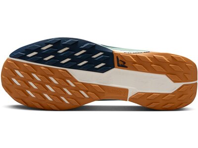 NIKE Herren Laufschuhe PEGASUS TRAIL 5 GTX Grün