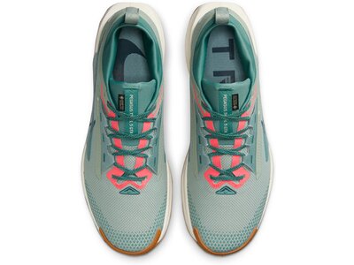 NIKE Herren Laufschuhe PEGASUS TRAIL 5 GTX Grün