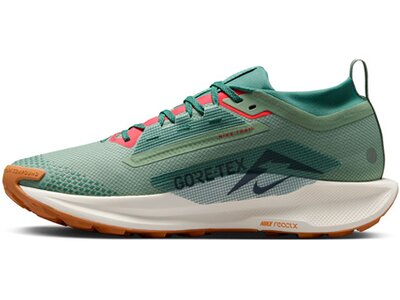 NIKE Herren Laufschuhe PEGASUS TRAIL 5 GTX Grün
