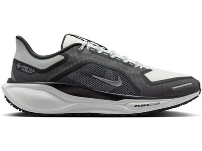 NIKE Herren Laufschuhe AIR ZM PEGASUS 41 GTX Schwarz