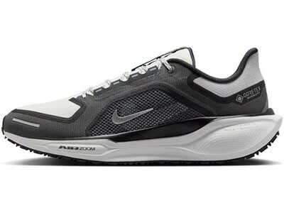 NIKE Herren Laufschuhe AIR ZM PEGASUS 41 GTX Schwarz