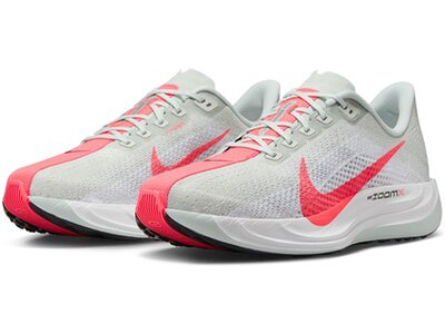 NIKE Herren Laufschuhe PEGASUS PLUS Grau