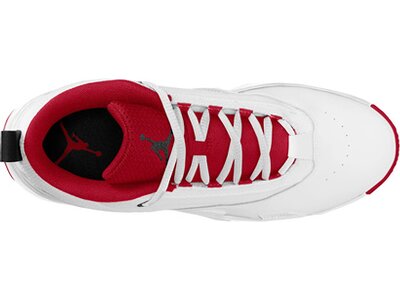NIKE Herren Basketballschuhe Jordan Max Aura 6 Silber