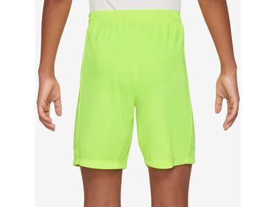 NIKE Kinder Shorts Trophy2 Dri-FIT Grün