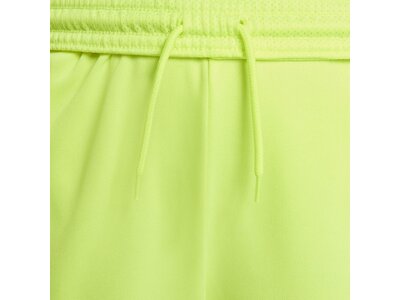 NIKE Kinder Shorts Trophy2 Dri-FIT Grün