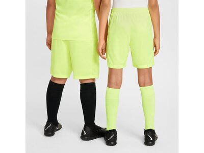 NIKE Kinder Shorts Trophy2 Dri-FIT Grün