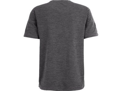 JOY Herren Shirt OLE T-Shirt Grau
