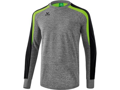 ERIMA Herren Liga 2.0 Sweatshirt Grau